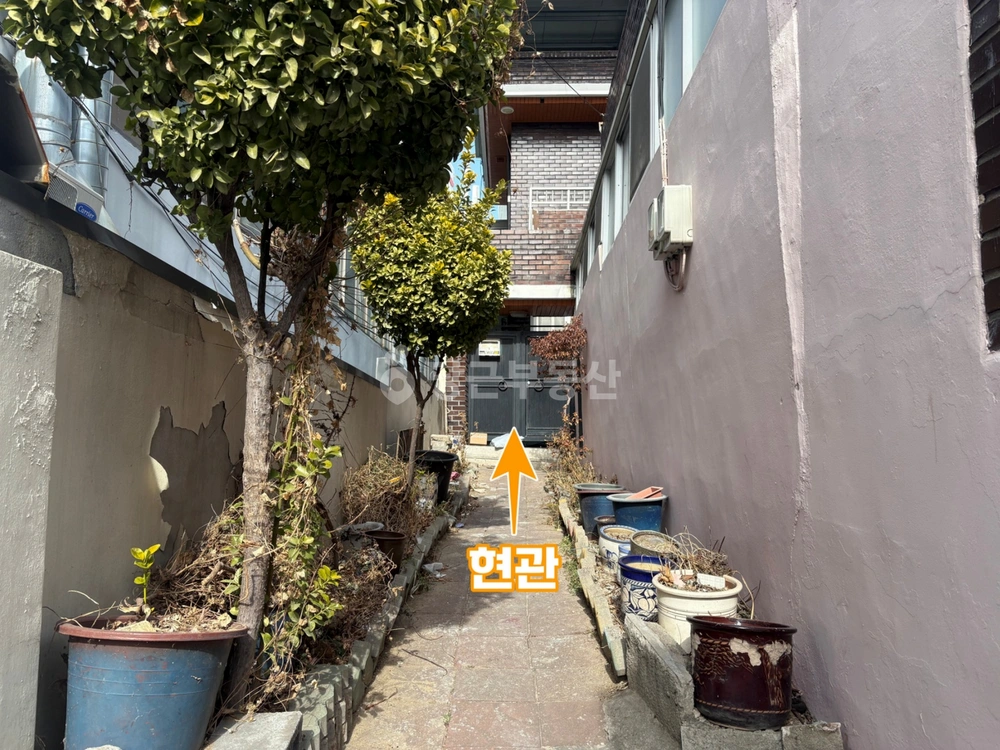 대구광역시 서구 내당동 단독/전원주택 사진 1