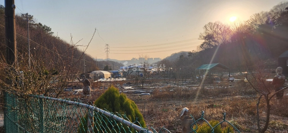 경기도 화성시 효행구 매송면 토지 사진 1
