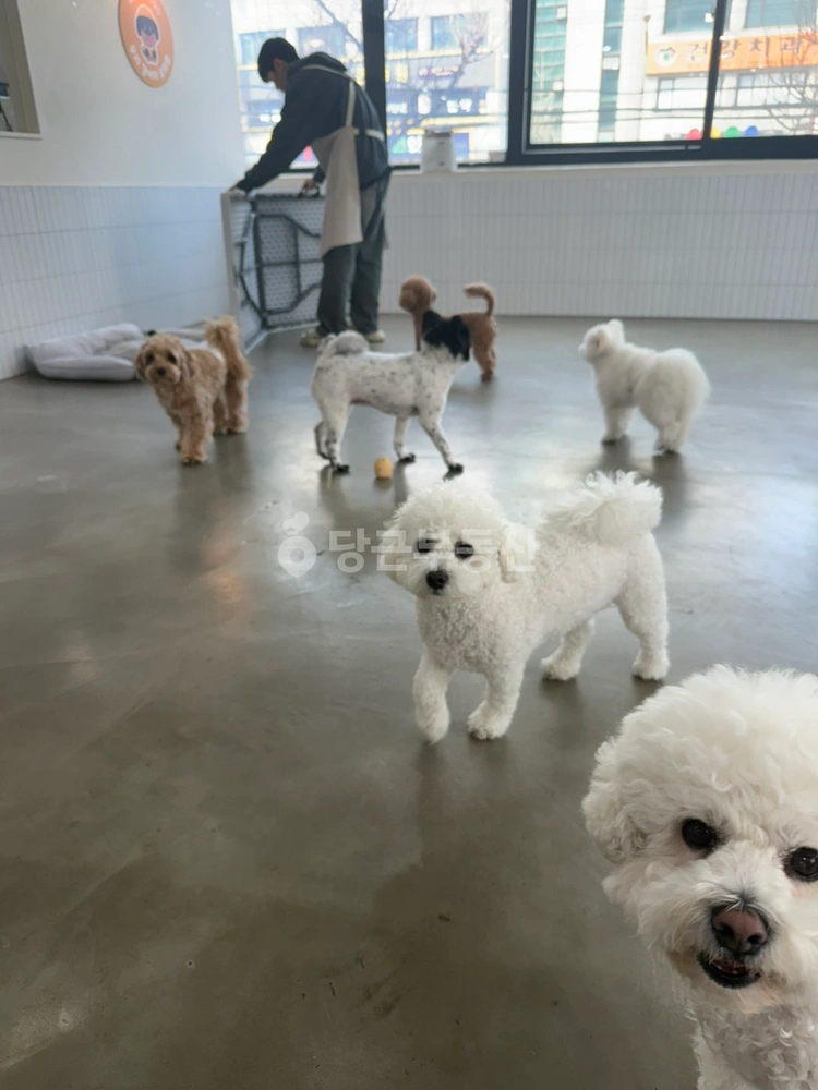 서울특별시 강서구 화곡동 상가 사진 1