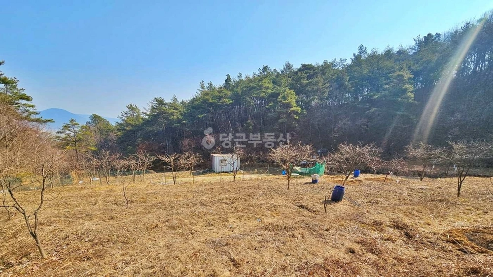 대구광역시 군위군 효령면 토지 사진 1