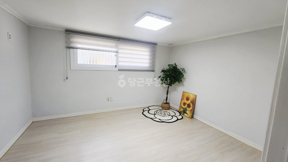 대구광역시 서구 내당동 빌라(투룸 이상) 사진 1