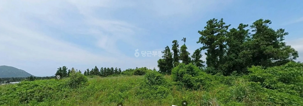 제주특별자치도 서귀포시 안덕면 토지 사진 1