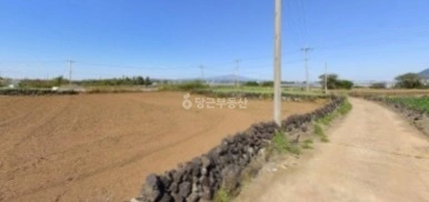 제주특별자치도 서귀포시 대정읍 토지 사진 1