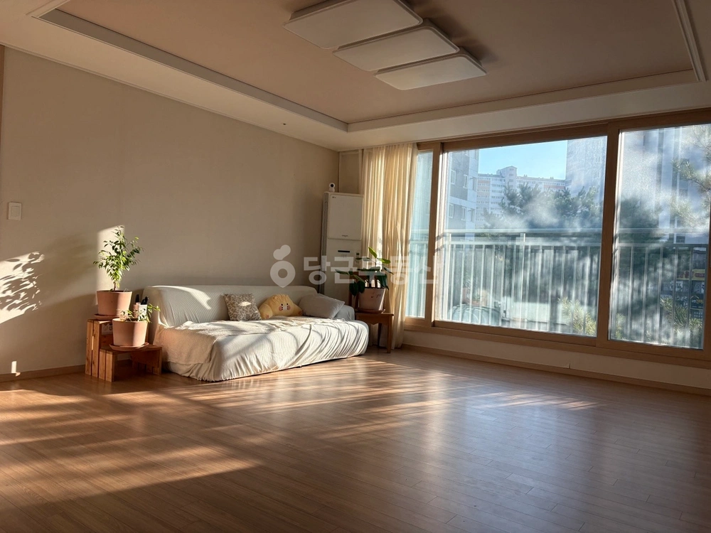 전남광주통합특별시 북구 용두동 아파트 사진 1