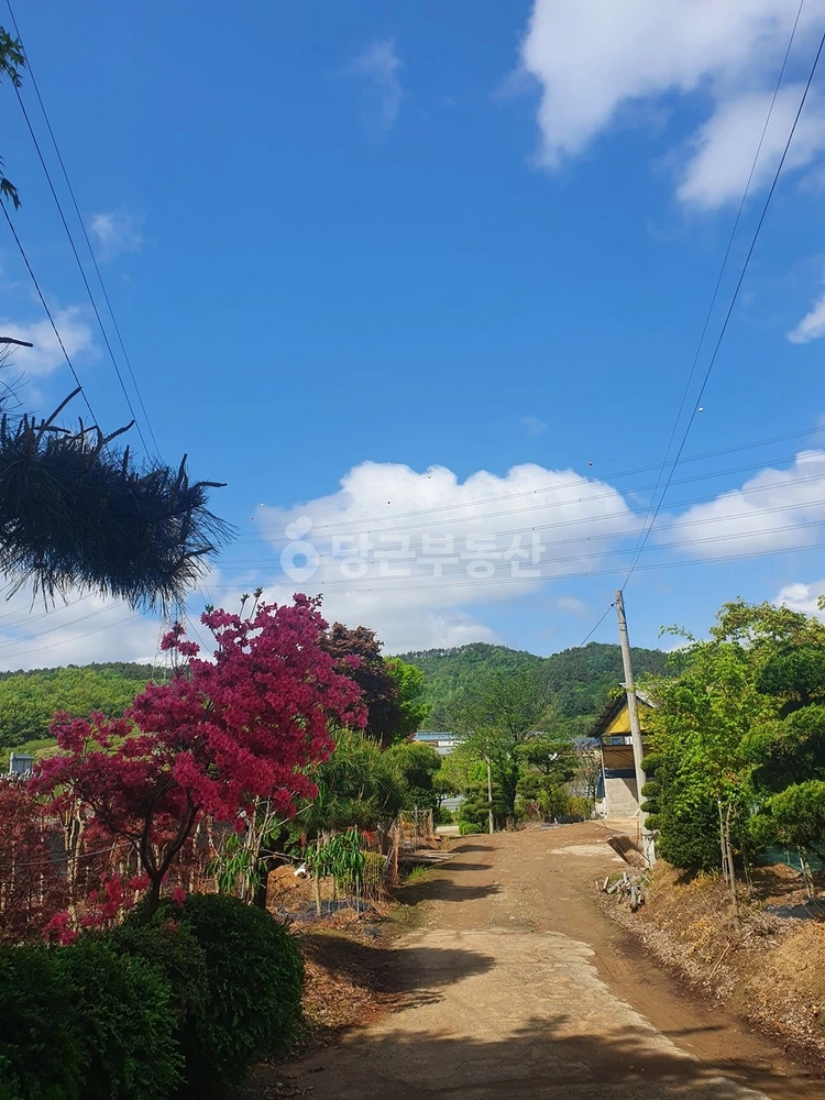 충청남도 예산군 대술면 단독/전원주택 사진 1