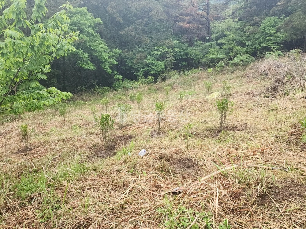 경상남도 거제시 거제면 토지 사진 1