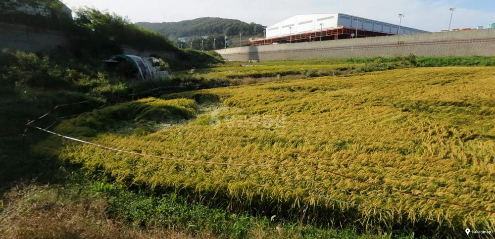 경기도 화성시 만세구 양감면 토지 사진 1