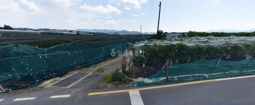 경상북도 경산시 압량읍 토지 사진 1