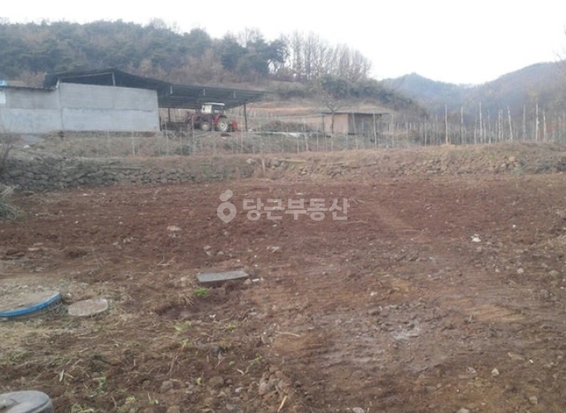 경상북도 경산시 용성면 토지 사진 1