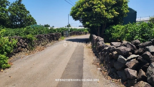 제주특별자치도 서귀포시 표선면 토지 사진 1
