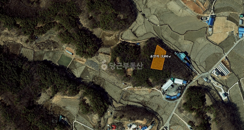 경기도 평택시 안중읍 토지 사진 1