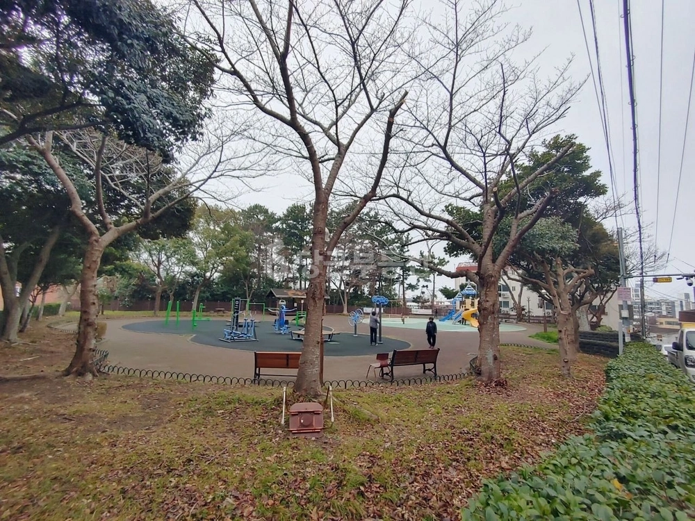 제주특별자치도 제주시 이도2동 단독/전원주택 사진 1