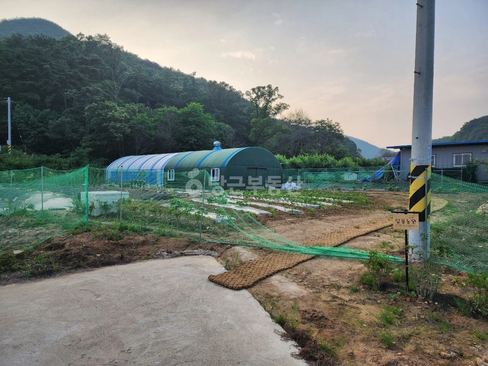 경기도 화성시 효행구 봉담읍 토지 사진 1