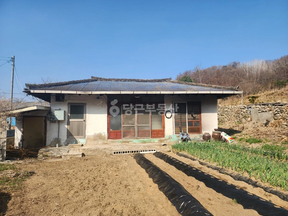 경상북도 김천시 지례면 단독/전원주택 사진 1