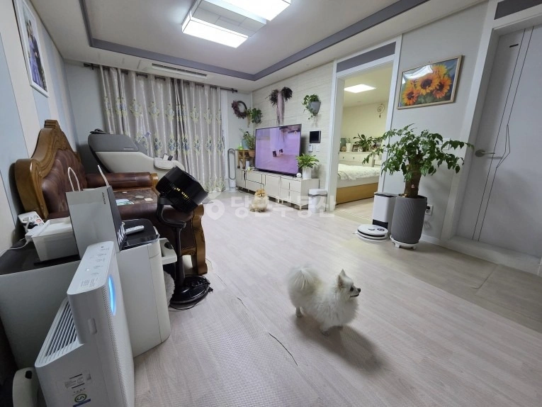 경기도 고양시 일산동구 문봉동 빌라(투룸 이상) 사진 1
