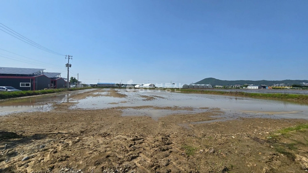 경기도 고양시 일산서구 구산동 토지 사진 1