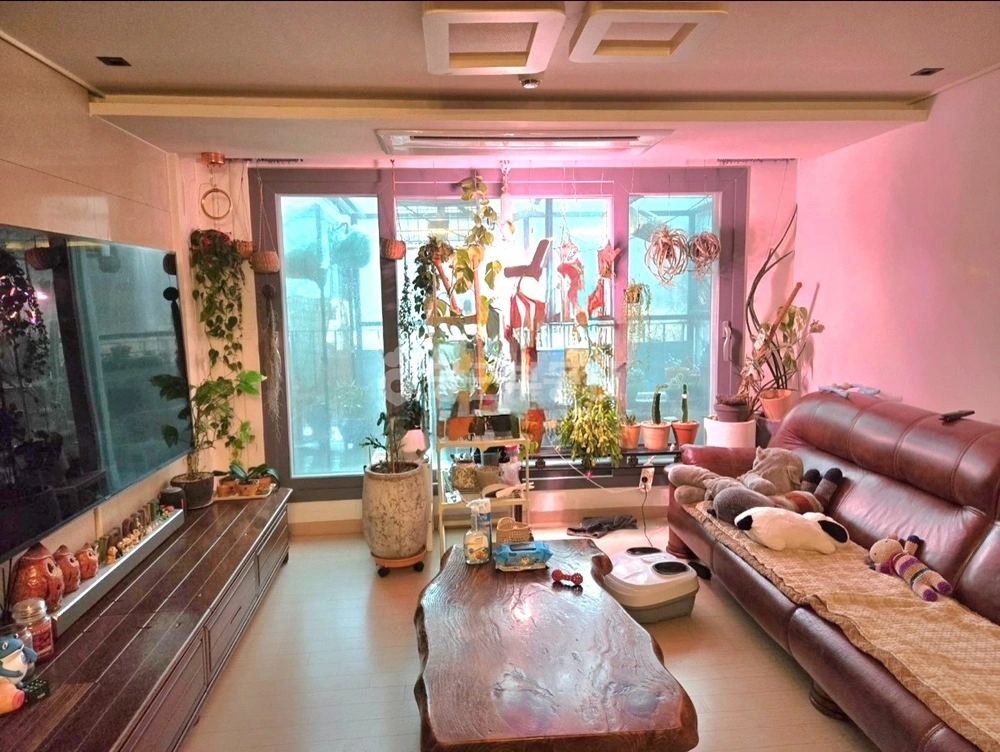 제주특별자치도 제주시 봉개동 빌라(투룸 이상) 사진 1