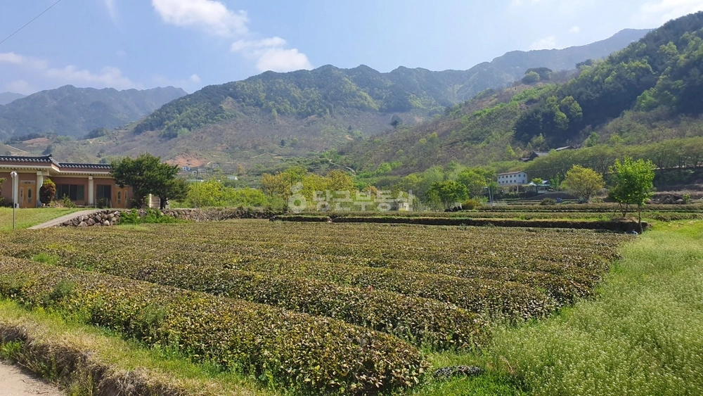 경상남도 하동군 화개면 토지 사진 1