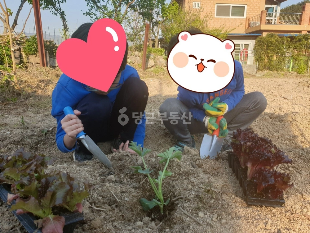 경상남도 김해시 대동면 토지 사진 1