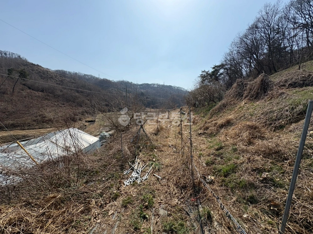 충청북도 진천군 진천읍 토지 사진 1
