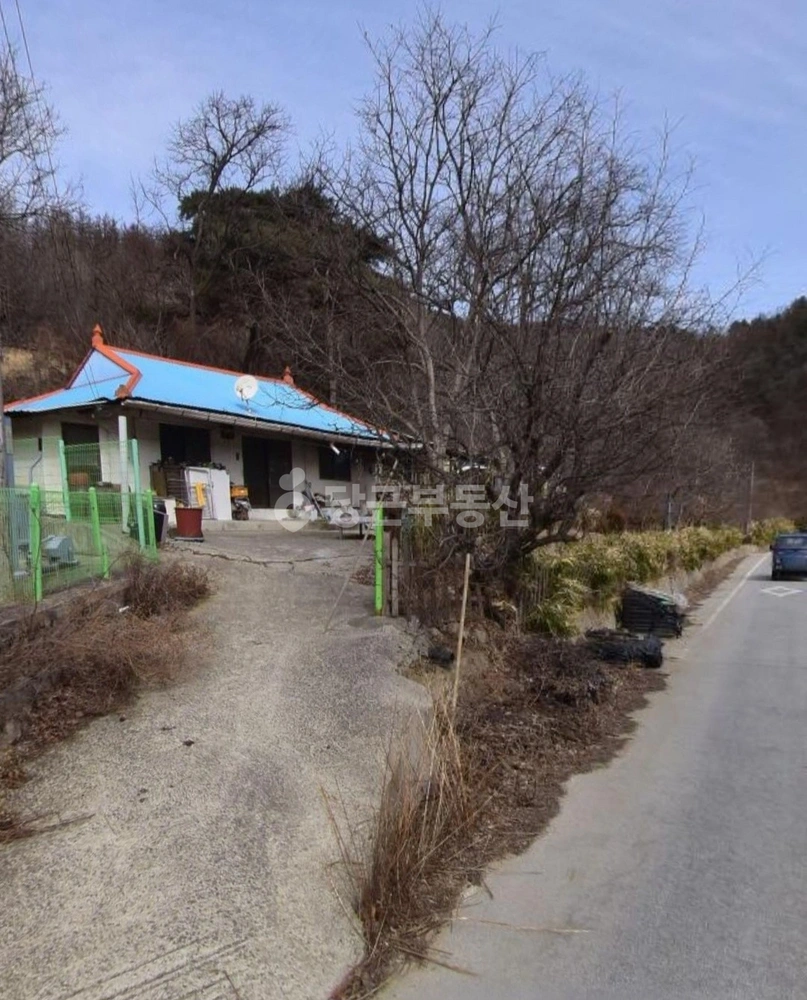 경상북도 김천시 구성면 단독/전원주택 사진 1