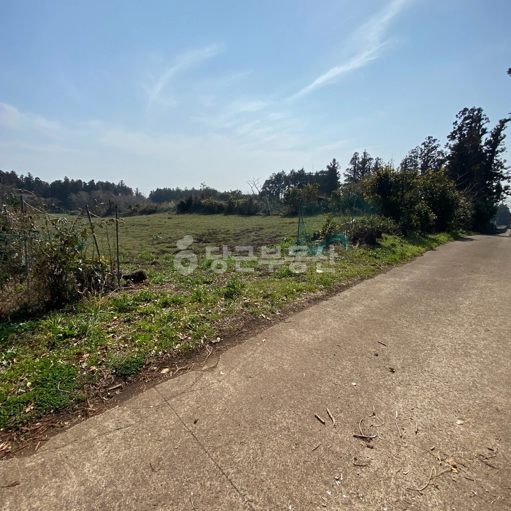 제주특별자치도 서귀포시 안덕면 토지 사진 1