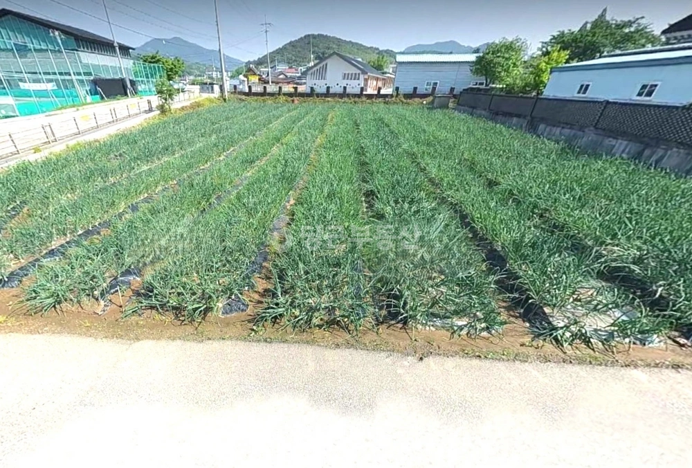 전북특별자치도 익산시 금마면 토지 사진 1