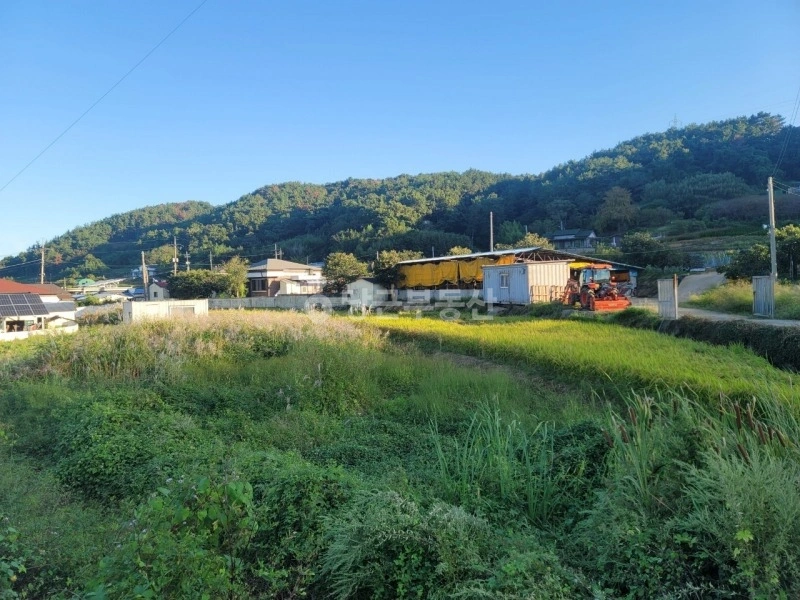 전남광주통합특별시 여수시 율촌면 토지 사진 1