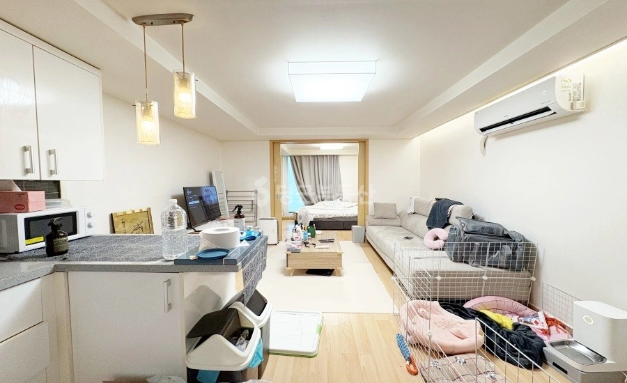 서울특별시 강남구 역삼동 원룸 사진 1