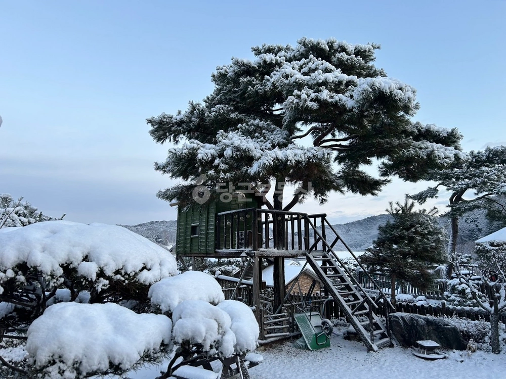 경기도 김포시 하성면 단독/전원주택 사진 1