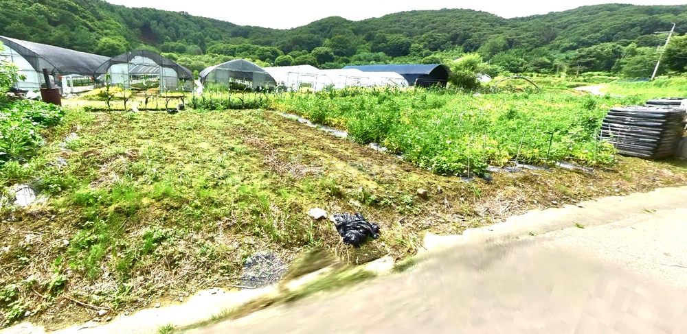 경기도 광주시 남한산성면 토지 사진 1