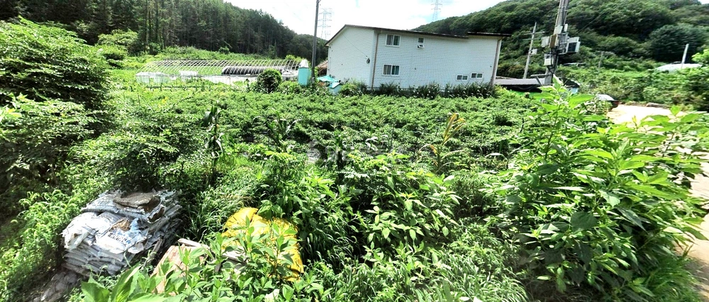 경기도 광주시 남한산성면 토지 사진 1