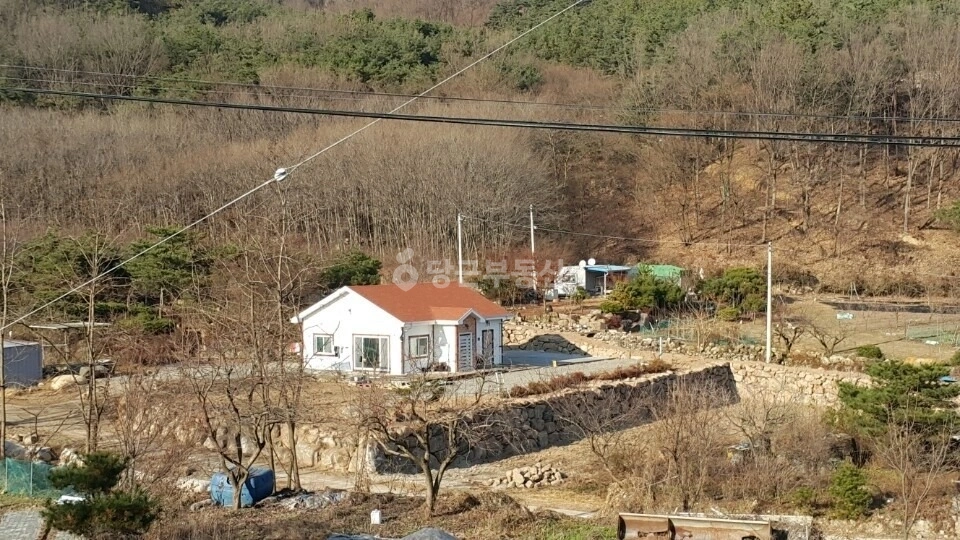 경상북도 경산시 하양읍 단독/전원주택 사진 1