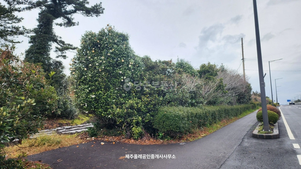 제주특별자치도 서귀포시 표선면 토지 사진 1