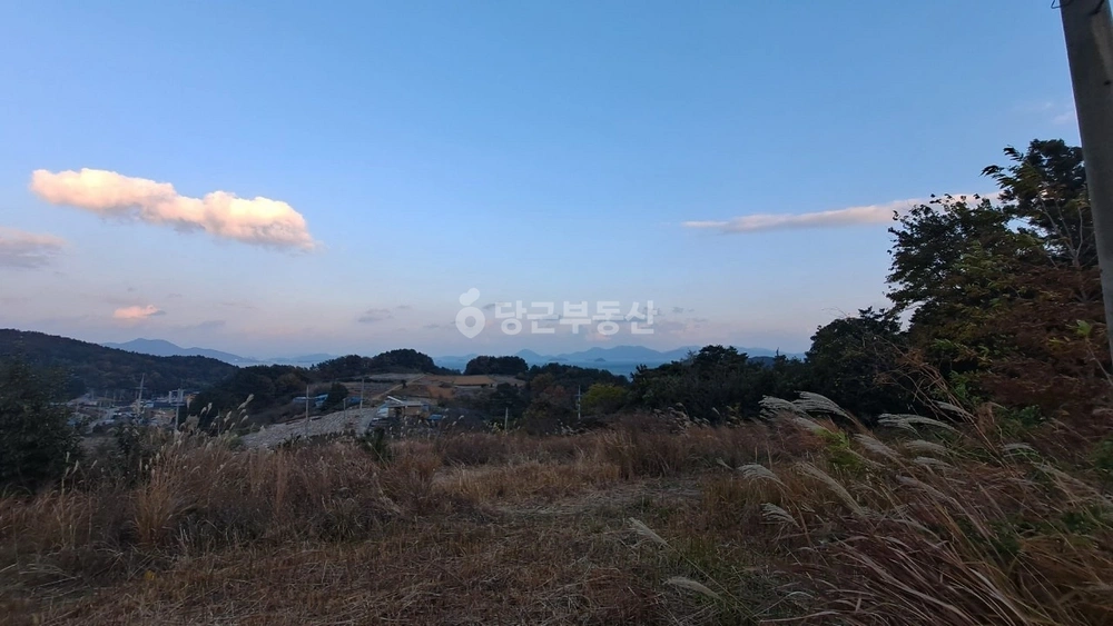 전남광주통합특별시 여수시 화양면 토지 사진 1