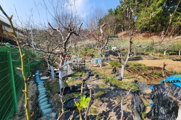 대전광역시 서구 관저동 토지 사진 1