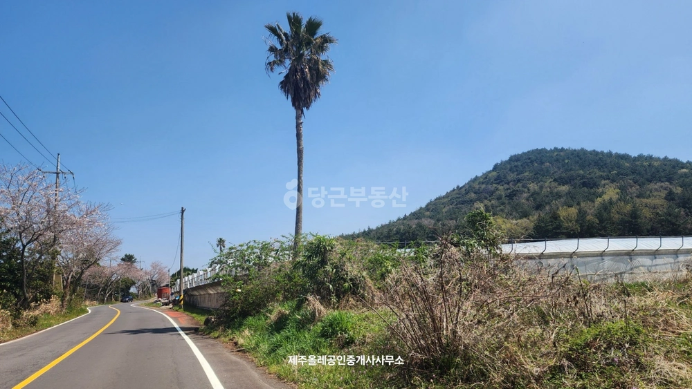 제주특별자치도 서귀포시 표선면 토지 사진 1