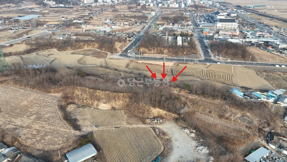 경상북도 예천군 예천읍 토지 사진 1