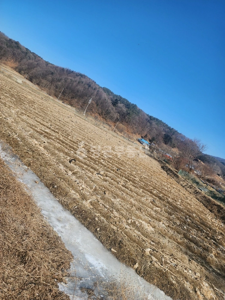 충청북도 괴산군 소수면 토지 사진 1