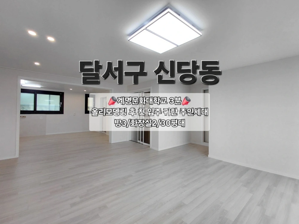 대구광역시 달서구 신당동 빌라(투룸 이상) 사진 1