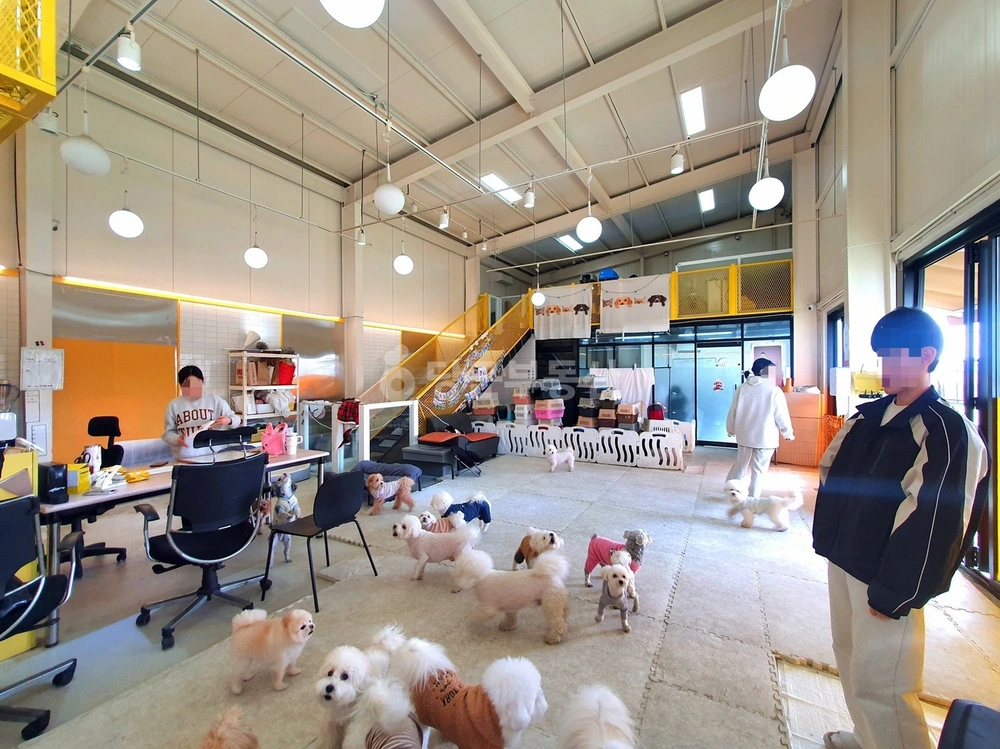 경기도 파주시 조리읍 상가 사진 1