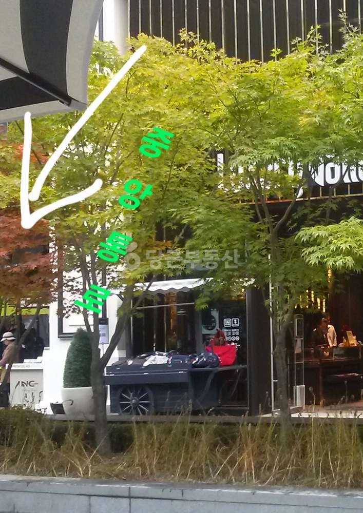 인천광역시 연수구 송도동 상가 사진 1