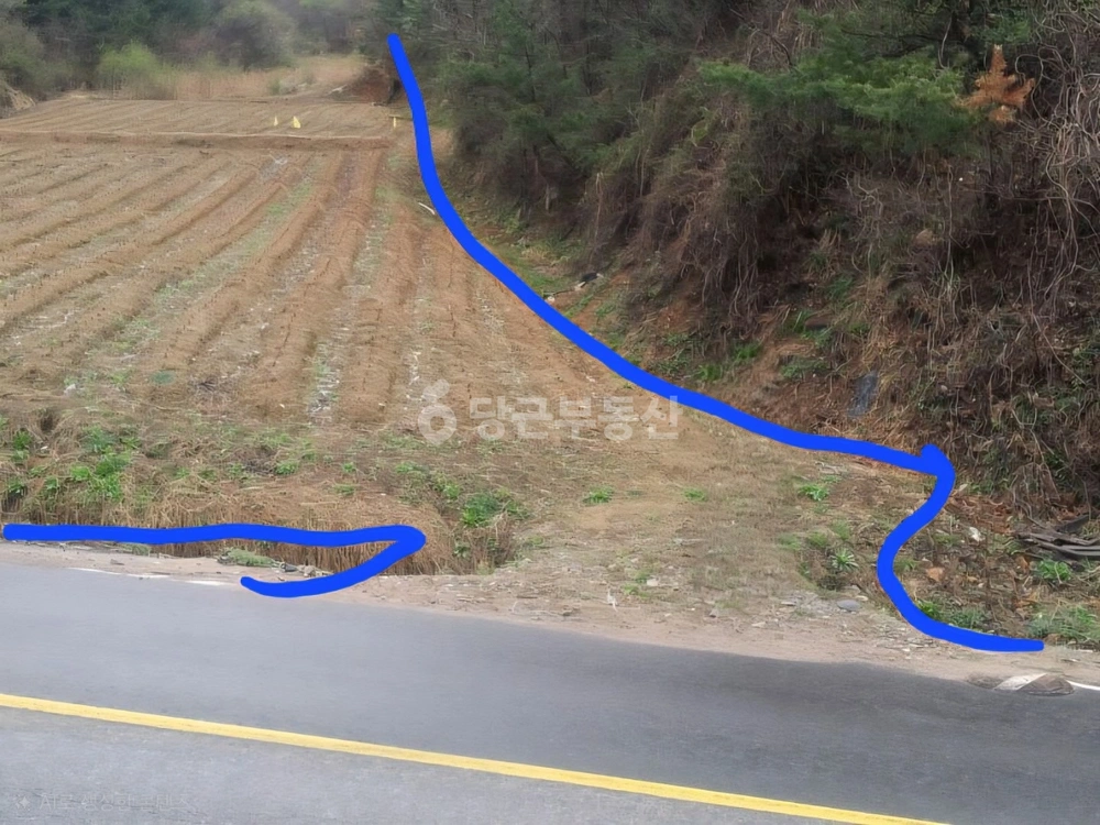 충청북도 괴산군 괴산읍 토지 사진 1