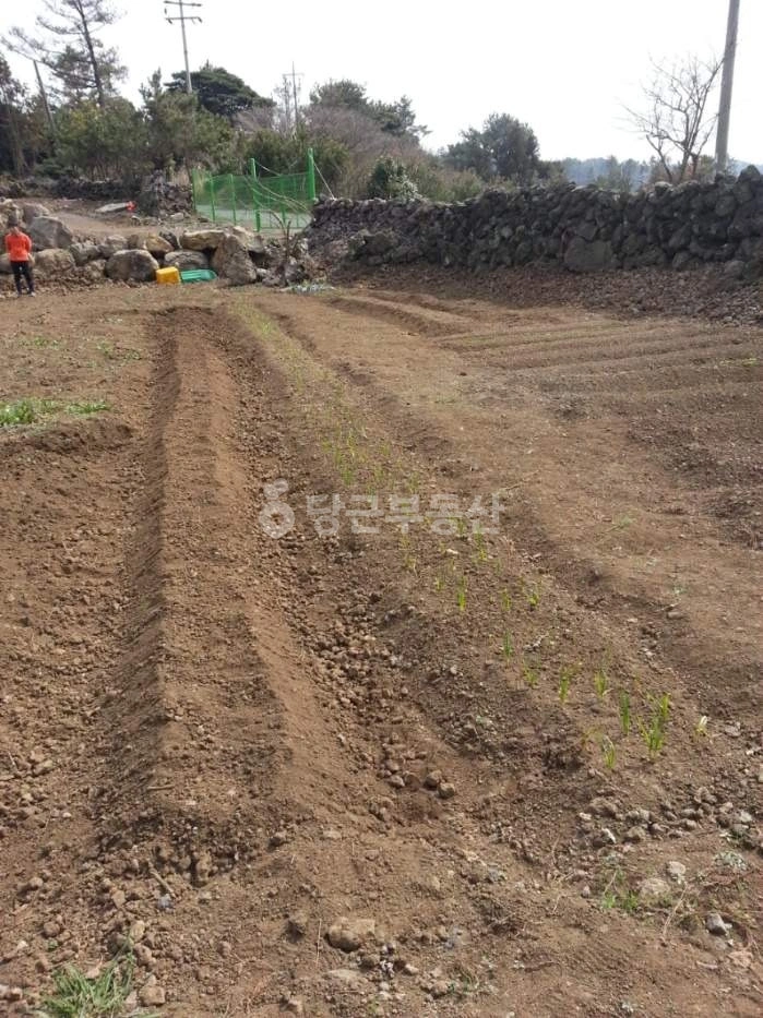 제주특별자치도 제주시 애월읍 토지 사진 1