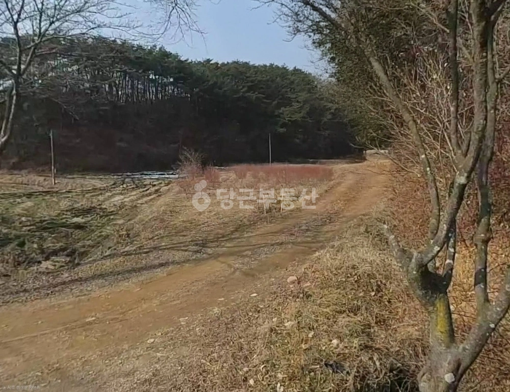 전남광주통합특별시 장성군 서삼면 토지 사진 1
