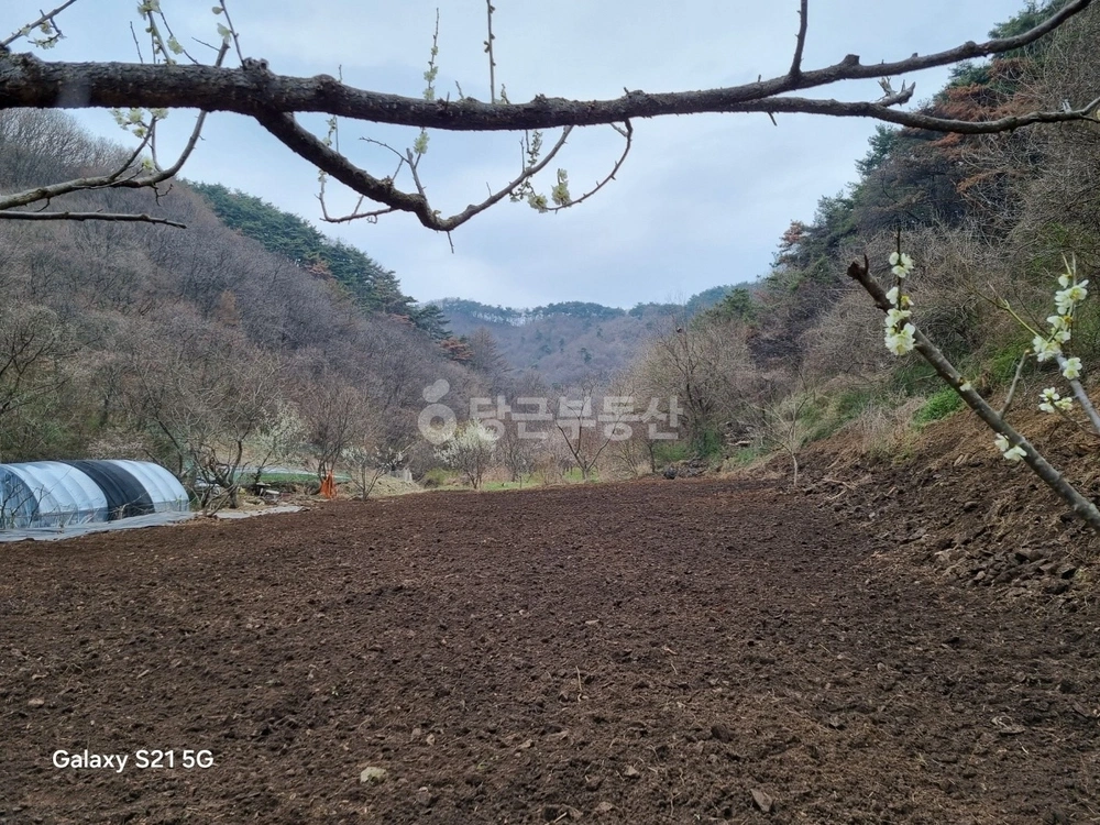 충청남도 예산군 대술면 토지 사진 1