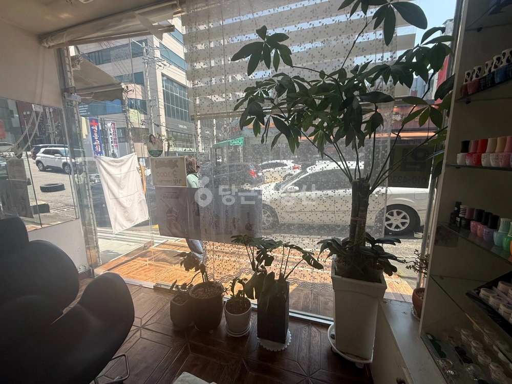제주특별자치도 제주시 연동 상가 사진 1