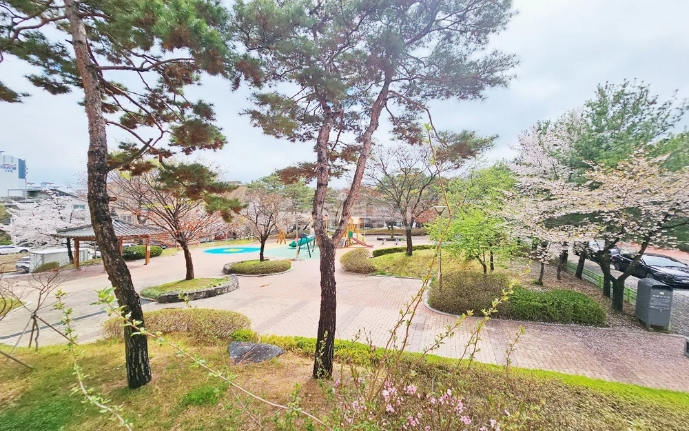 충청북도 청주시 서원구 산남동 빌라(투룸 이상) 사진 1