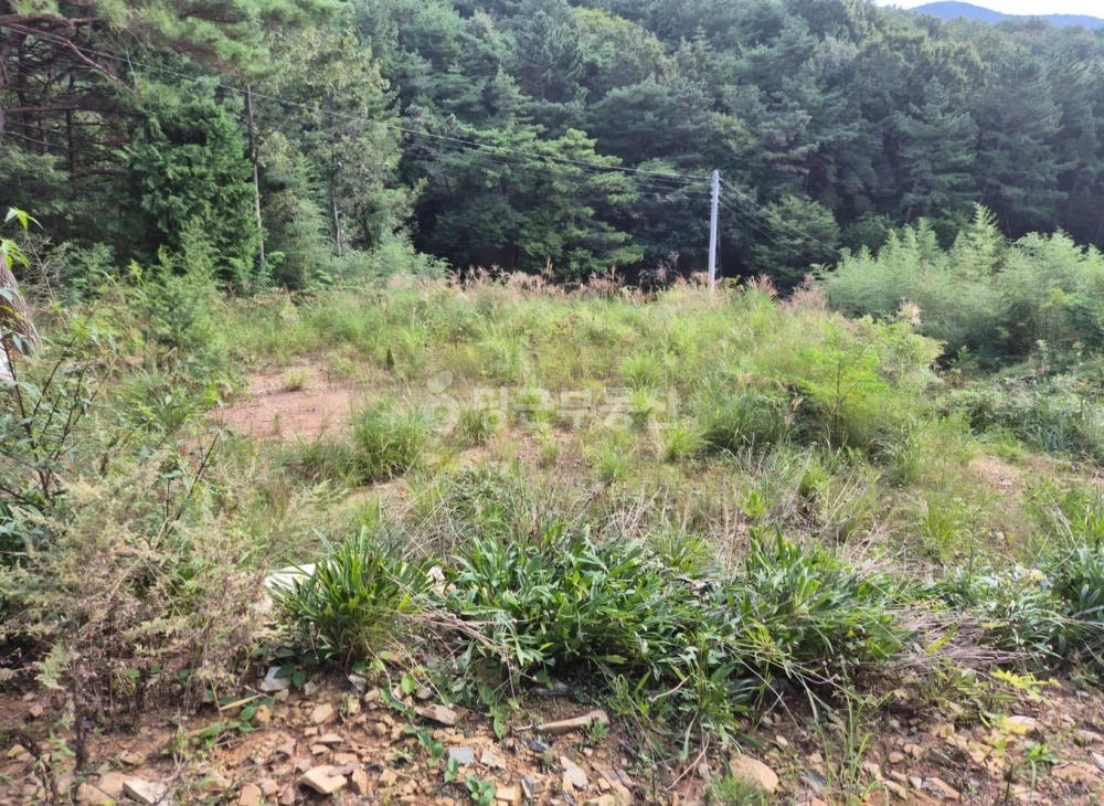 경상남도 창원시 마산합포구 진북면 토지 사진 1
