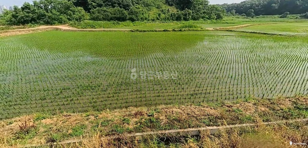 경기도 평택시 안중읍 토지 사진 1